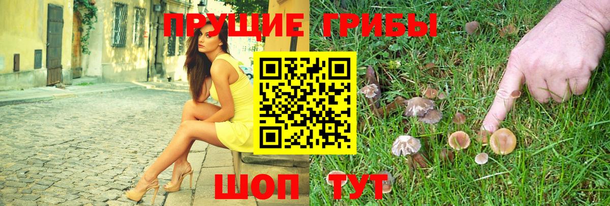 Галлюциногенные грибы Magic Shrooms  Вход с VPN  Гай 