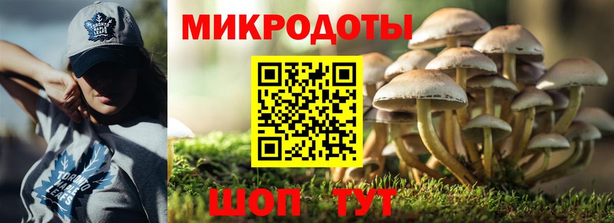 Галлюциногенные грибы мухоморы Гай
